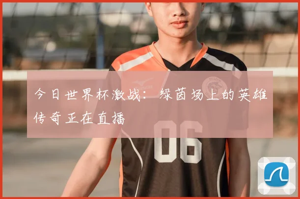 今日世界杯激战:绿茵场上的英雄传奇正在直播